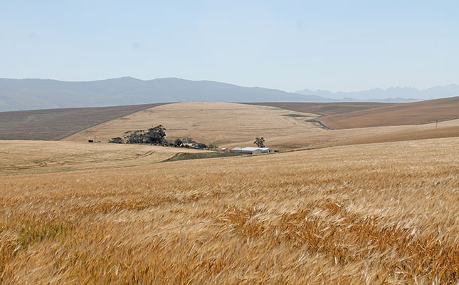 Empowerment trust banks on barley Empowerment trust banks on barley
