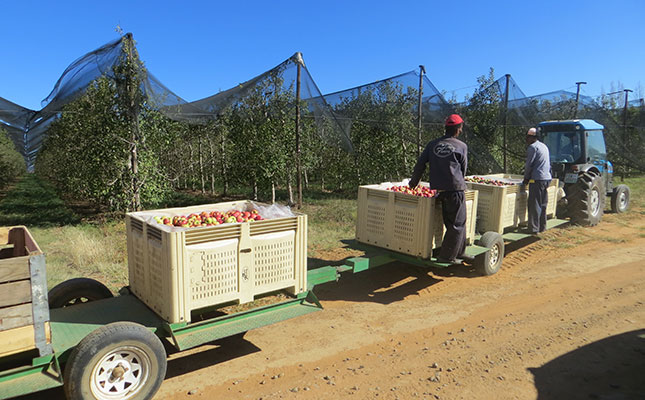 Mixed reactions to new minimum wage for farmworkers Mixed reactions to new minimum wage for farmworkers