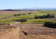 Tongaat Hulett clawing its way out of financial peril