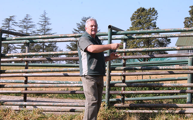 Understand cattle behaviour to achieve low-stress handling Understand cattle behaviour to achieve low-stress handling
