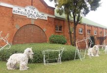 Royal Show cancelled amidst coronavirus outbreak