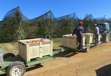 Essential Covid-19 lockdown regulations for farmers