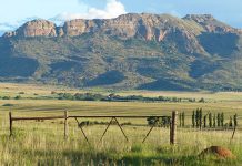 SA agriculture in recession for second year in a row