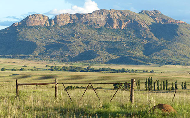 SA agriculture in recession for second year in a row SA agriculture in recession for second year in a row