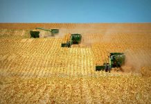 ‘Commercial agri sector not appreciated in COVID-19 crisis’