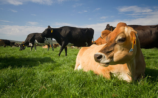 Thousands of litres of milk dumped in US as pandemic deepens Thousands of litres of milk dumped in US as pandemic deepens