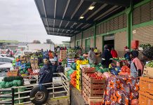 Lack of informal trading during lockdown worry farmers informal traders at the market