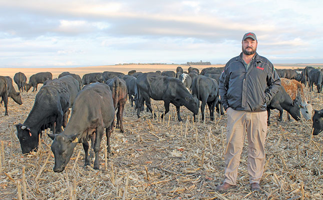 Free State farmer shares lessons on ultra-high-density grazing Free State farmer shares lessons on ultra-high-density grazing