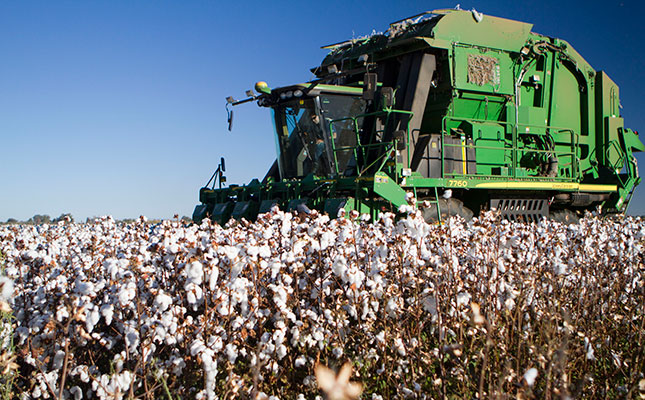 Cotton industry upbeat despite global plunge in consumption Cotton industry upbeat despite global plunge in consumption