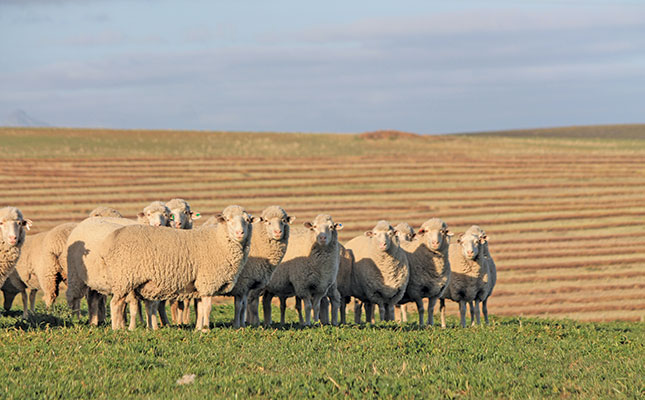 An animal health plan for the year from Dr Faffa Malan An animal health plan for the year from Dr Faffa Malan