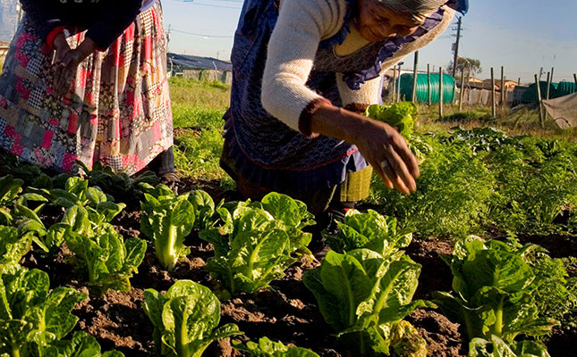 More COVID-19 support for farmers, but only for smallholders More COVID-19 support for farmers, but only for smallholders