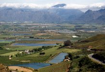 Agribusiness confidence plummets amid market disruptions