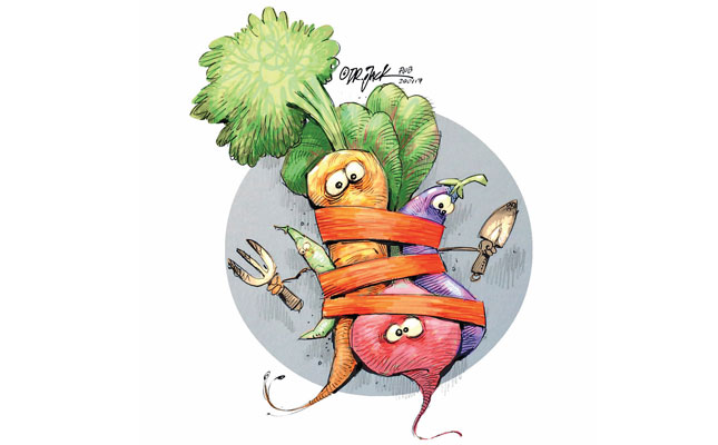 Why Africa needs fairer food laws