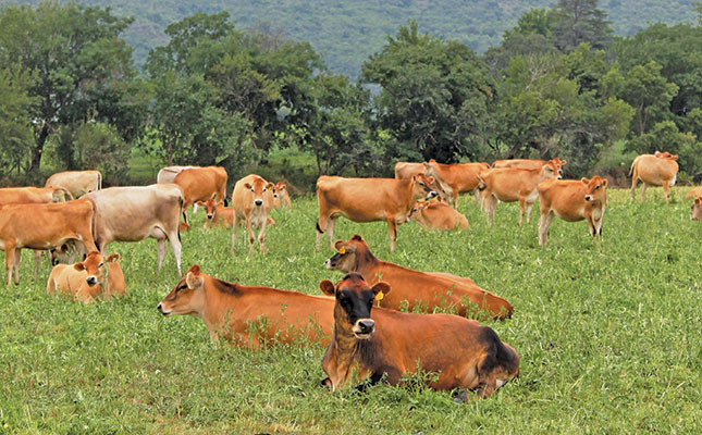 ‘Never give up on your farming dreams’ – SA’s top dairy producer ‘Never give up on your farming dreams’ – SA’s top dairy producer