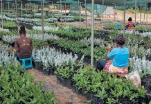 Gender equality in farming expands despite barriers to entry