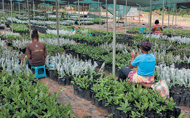 Gender equality in farming expands despite barriers to entry Gender equality in farming expands despite barriers to entry