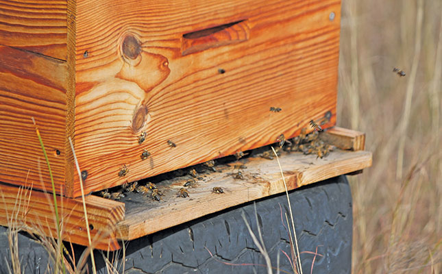 Making agriculture more bee-friendly Making agriculture more bee-friendly