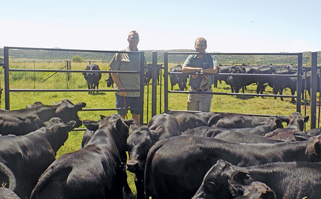 Producing well-balanced animals for maximum profit Producing well-balanced animals for maximum profit