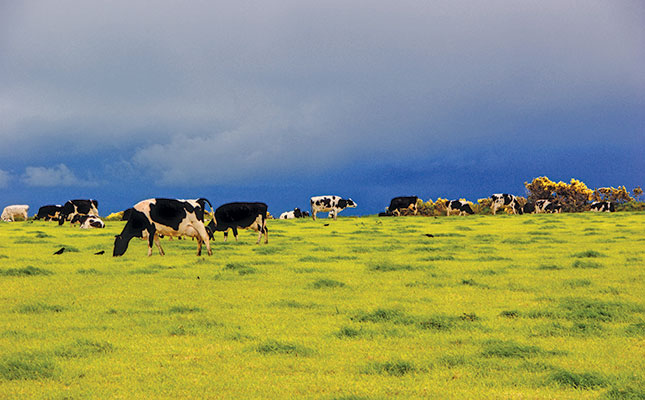 Researchers work to develop low-methane beef Researchers work to develop low-methane beef