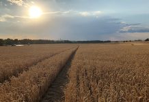 GWK and VKB considering ‘possible partnership’