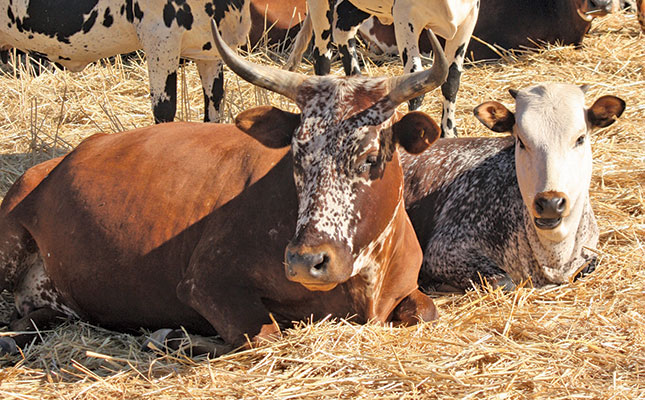 How NERPO is adapting to a changing livestock sector How NERPO is adapting to a changing livestock sector