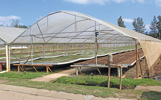 Undercover farming: big investment, greater returns Undercover farming: big investment, greater returns