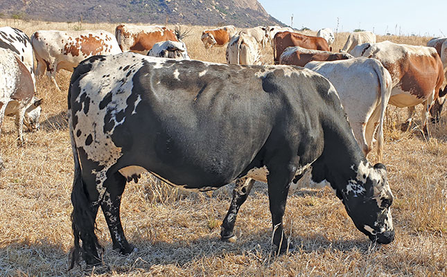 Traceability: beyond the tag Traceability: beyond the tag