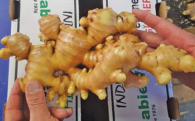 Ginger: a challenging crop, but well worth the effort Ginger: a challenging crop, but well worth the effort
