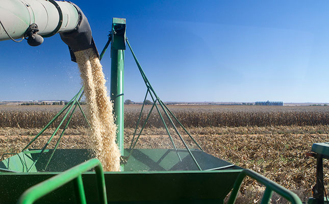 Record production puts pressure on global grain prices Record production puts pressure on global grain prices