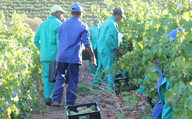 Agriculture sheds 66 000 jobs in the second quarter Agriculture sheds 66 000 jobs in the second quarter