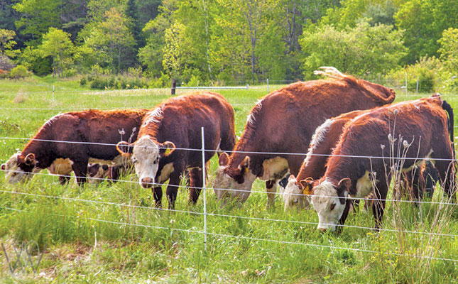 Biosecurity measures on an animal farm Biosecurity measures on an animal farm