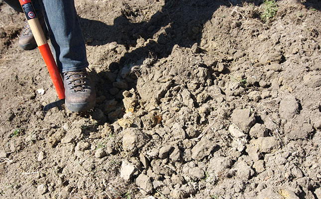 Optimal liming is key to preventing soil acidification Optimal liming is key to preventing soil acidification