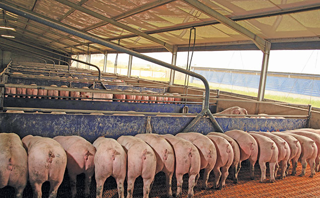 The future of pig genetics The future of pig genetics
