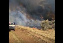 Thousands of hectares destroyed by Free State wildfires