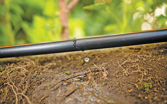 Planning for precision irrigation Planning for precision irrigation