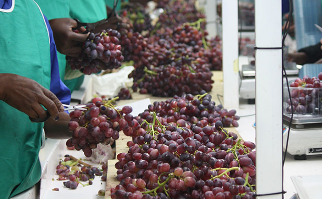 Table grapes yet to experience full impact of COVID-19 Table grapes yet to experience full impact of COVID-19