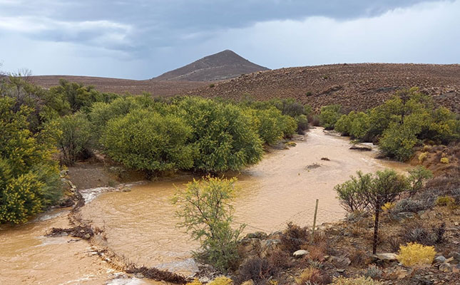 Rain brings relief, but delays Northern Cape grape harvest Rain brings relief, but delays Northern Cape grape harvest