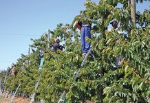 Farming sector warns of job losses due to minimum wage hike