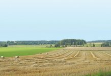 Expropriation bill ‘will limit property rights’ in SA