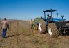 Government’s R1 billion funding boost for black farmers