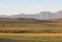 Botched land reform costing agri department R2 billion