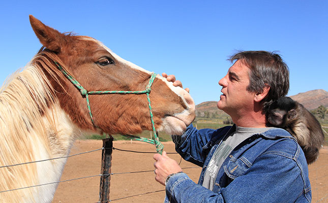 Producing cowboy-style workhorses naturally