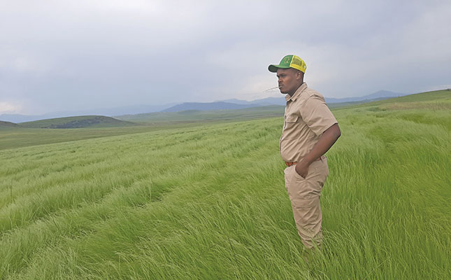 Helping small-scale farmers reach commercial status Helping small-scale farmers reach commercial status