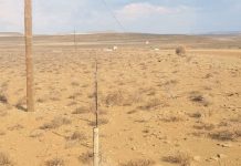 Drought crisis deepens in Northern and Eastern Cape