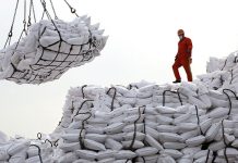 Global fertiliser prices at a two-year high