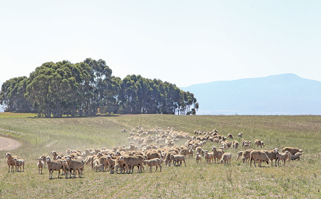 Extension of Land Bank negotiations ‘a cause for concern’ Extension of Land Bank negotiations ‘a cause for concern’