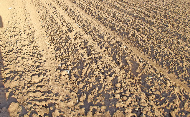 Know when your soil is ready! Know when your soil is ready!
