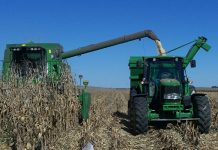 SA set to export record volume of maize