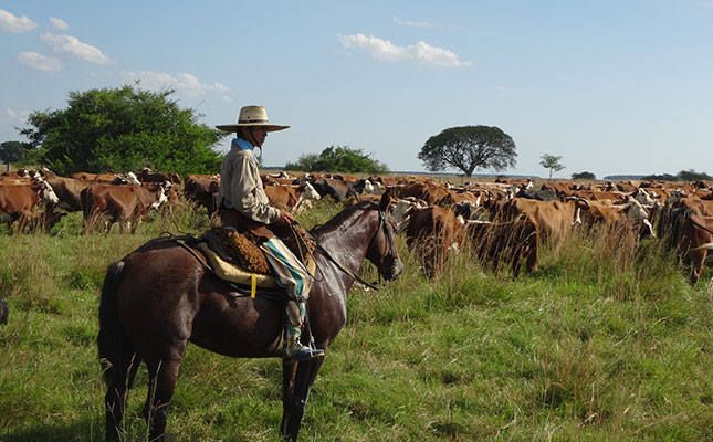 Global beef prices benefit from soaring demand in China Global beef prices benefit from soaring demand in China