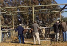 Farmers want clarity on hunting and auctions under Level 4